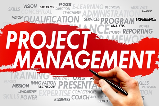 Certificate in Project Management