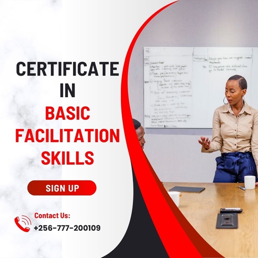 Certificate in Facilitation Skills